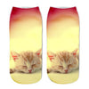 3D Cat Printed Anklet Socks NEW 2018 - Plenty of Waist