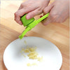 Kitchen Stainless Steel Scales Skinner