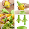 Kitchen Stainless Steel Scales Skinner
