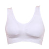 Chelsea Fitness Sports Bra - Plenty of Waist