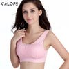 Sofia Cook Sports Bra - Plenty of Waist