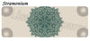 Tribal Spirit Yoga Mat - Plenty of Waist